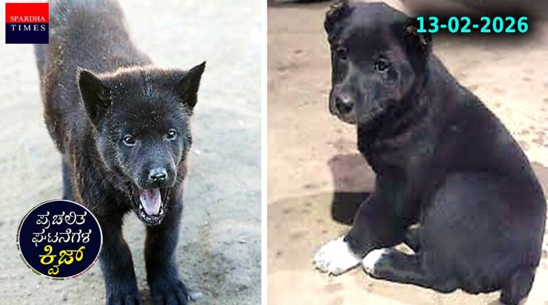 CA 13022026 ► SPARDHA TIMES CA 13022026