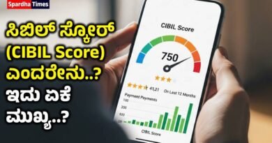 CIBIL Score