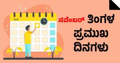 Important days in November