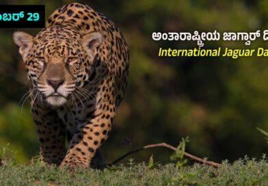 International Jaguar Day