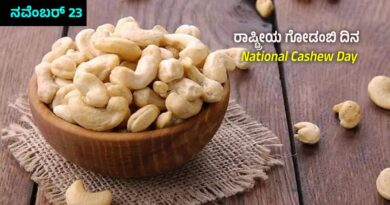 National Cashew Day