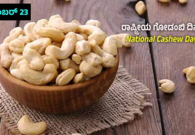 National Cashew Day