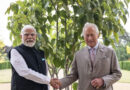 PM Modi gifts tree to King Charles to be planted under "ek ped Maa ke naam'