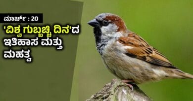 World Sparrow Day